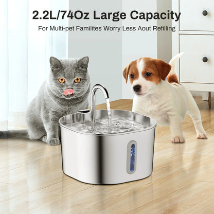 Pawrify pet water fountain with a cat and dog around it on a wooden floor.