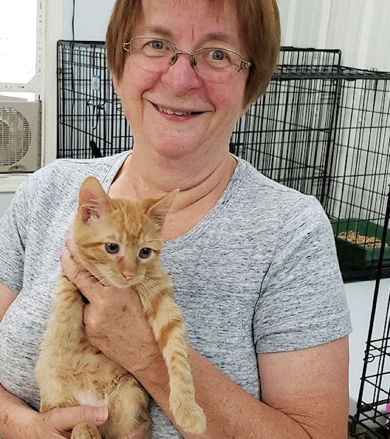 files/animal_shelter.webp